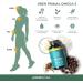 Primal Harvest Omega 3 Fish Oil - 60 Easy-to-Swallow Softgel Capsules | 470mg EPA & DHA from Sustainably Sourced Norwegian Fish | 30 Portions - Buy Online on GoSupps.com