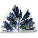 100pcs Pro Almond Stiletto Tips Nail Form with Peacock Pattern for C Curve Acrylic UV Gel Nails - False Nail Extension Art Tool - Buy Online on GoSupps.com