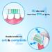 Grasnugie Replacement Toothbrush Heads for Philips Sonicare - 8 Pack Electric Brush Heads - Compatible with ProtectiveClean, Dailyclean, FlexCare, Proresults, 2 Series, 1100, 4100, 5100, 6100 - HX9023 HX6015 - G2 G3 C1 C2 C3 W2 W3 - 8 Count - Buy Online on GoSupps.com