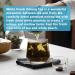 HANFANGLING White Peach Oolong Tea | Refreshing Caffeine Alternative | Promotes Digestion | Fresh Sweetness & Aromatic Taste - Buy Online on GoSupps.com