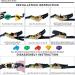 NAQIER Ninja Tree Climbing Holds with Ratchet Straps - Outdoor Ninja Warrior Course for Kids - Buy Online on GoSupps.com