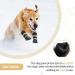 Reflective Anti-Slip Dog Shoes for Small, Medium & Large Dogs - Waterproof & Wear-Resistant Paw Protectors - 4 Pcs (L Black) - Buy Online on GoSupps.com