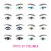 15-Piece Eyebrow Template Kit | Reusable Stencils & Razor for Women | Perfect Makeup Tools - Buy Online on GoSupps.com