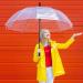 R.HORSE 62 Clear Golf Umbrella - Large Transparent Automatic Open Stick Umbrella for Men and Women | Windproof & Waterproof - Buy Online on GoSupps.com