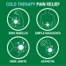 Biofreeze Pain Relief Patches - Day & Night Knee Back & Muscle Relief | FSA Eligible | 9 Menthol Patches - Buy Online on GoSupps.com