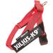 Julius-K9 Color & Gray Belt Harness XS/Mini-Mini | Red-Grey | International Shipping - Buy Online on GoSupps.com