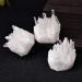 1PC Natural Raw Quartz White Clear Crystal Cluster Stones Crystal Point Specimen Home Decoration Ra Crystals ZJGIDTEM 1pc Random Delivery - Buy Online on GoSupps.com
