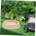 ROMISBABA 2pcs Pet Bowl Bearded Dragon Water Bowl Terrarium Water Bowl Reptile Feeding Dish Animal Resin Beige - Buy Online on GoSupps.com