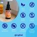 High-Dose Vitamin A Drops - 5000 I.E (1500 g) | 50ml Pure Retinyl Palmitate in MCT Oil | Lab-Tested No Additives Made in Germany - International Shipping Available - Buy Online on GoSupps.com