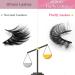 KOKAY Russian Strip False Eyelashes - 8 Pairs DD Curl Faux Mink 3D Fake Lashes (K13) - Buy Online on GoSupps.com