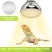 REPTI HOME Reptile Heat Lamp 125W Full Spectrum UVA UVB Sun Lamp Simulate Natural Sunlight Heat Lamp Bulb for Reptile and Amphibian Sun Light 125W - Buy Online on GoSupps.com