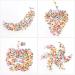SUKPSY 1000 Pcs Mini Colorful Nail Art Slices - Fruits, Animals, Flowers Charms for DIY Crafts and Phone Case Decoration - Buy Online on GoSupps.com