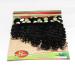 Eunice 8-Piece Deep Curly Tape-In Hair Extensions - Fading to Black Ombre (8-14 Inches) - Buy Online on GoSupps.com