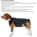 Back Bracer for IVDD in Dogs Dog Back Brace for Dogs Arthritis Spinal Surgical Recovery Herniated Disc Slipped Disc Rehabilitation Adjustable Back Support Back Protector (L) - Buy Online on GoSupps.com