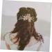 DOITOOL Hair Comb Bride Hair Accessory Flower Clips Hair Styling Accessories Floral Hair Headpiece Wedding Headdresss Birthday Headpiece Gold Decor Hollow Out Bridesmaid Headband Alloy - Buy Online on GoSupps.com