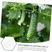 Parliky 3pcs Vegetable Shaping Mold Flower Shape Strawberry As Shown 20x6cm - Buy Online on GoSupps.com
