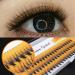 Bodermincer C Curl 0.07mm 60pcs Individual Fake Eyelash Cluster Extensions (8mm) - Buy Online on GoSupps.com