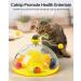 HOPET Interactive Cat Toy with Catnip Balls, Roller Tracks, and Exercise Balls for Indoor Cats - Kitten Feeder Stimulation Toys - Yellow - Buy Online on GoSupps.com