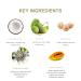 PURE FIJI Papaya Enzyme Face Mask - Hydrating & Exfoliating Organic Skin Care Vegan & Cruelty-Free 1.7oz - International Shipping Available - Buy Online on GoSupps.com