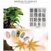 KADS 4Pcs Nail Art Stamping Plate Pattern Stamp Template Image Plates for Nail Salon Designs O2