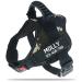 Pawpawify dog harnesses against pulling with personalized name and telephone number durable prevents tug pulling or choking for training and walking XL Chest 32-44in jungle starn