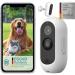 Pettec 360 Dog Camera Set - Full HD Pet Surveillance with Night Vision & No Subscription | Cam Lite & Free App Controlled Voice Function for Dogs & Cats - Buy Online on GoSupps.com