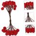 ABOOFAN 400 Pcs Artificial Berries Christmas Berries Christmas Ornament Simulation Red Berry Artificial Flower Decor Red Berry Adornments Simulated Red Berry Double Head Plant Foam - Buy Online on GoSupps.com