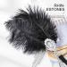 Zoestar Feather Headbands Crystal Tassel 1920s Headpiece Great Gatsby Accessories Flapper Headband Party Hair Jewelry for Women (Black) - Buy Online on GoSupps.com