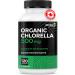 Renew Actives Chlorella Capsules 1000MG per 2 Capsules - Rich in Antioxidants & Nutrients - Natural Source for Cellular Health, Vitality, & Wellness - Made in Canada - 120 Capsules - Buy Online on GoSupps.com