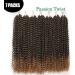Passion Twist Hair T27 - 7 Packs 24 Inch Water Wave Crochet Hair Extensions for Bohemian Braiding | Yddm T1b-27# Synthetic Hair - Buy Online on GoSupps.com