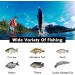12-Piece Trout Spoon Set | Realistic Trout Bait & Spinner for Pike Zander Perch | Complete Fishing Set with Spoon Box - Buy Online on GoSupps.com