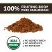 Longevity Botanicals Organic Turkey Tail Mushroom Powder - Immune & Digestive Support - 100% Fruiting Body - 100g - Buy Online on GoSupps.com
