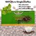 Bosland Ginkgo Instant Coffee - 15x 22g - No coloring no preservatives no artificial flavors - Buy Online on GoSupps.com