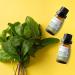Buy Pure Peppermint Essential Oil 10ml - USDA Organic Edible Safe for Skin - Premium Aromatherapy for Diffusers & Baths - Buy Online on GoSupps.com