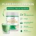 RENEVA Vegan Protein Powder - 15g Plant-Based Protein | Gluten Free Dairy Free Zero Sugar | 12.7 Ounce Resealable Canister - Buy Online on GoSupps.com