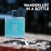 Vintage Men's Cologne Timeless Scent with a Modern Twist Perfume for Men Eau de Toilette 100ML for All Skin Vintage 3.4 Fl Oz (Pack of 2) - Buy Online on GoSupps.com