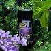 Buy Green Theory Lavender & Evergreen Natural Deodorant - Probiotic Aluminum-Free | 2.65 oz - Shop Internationally - Buy Online on GoSupps.com