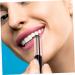 Ipetboom 3 Pcs Reusable Lip Brush Set | Lipstick Lip Mask & Scrub Applicator | Portable Lip Makeup Tool - Buy Online on GoSupps.com