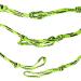 Hydro Homie Big Stoke Pro Wakesurf Rope 25' Green - Premium Quality Wakesurfing Rope - Buy Online on GoSupps.com