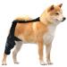 Dog Behind Leg Brace - Dog Knee Support Brace Rear Leg Stabilizer for Small Dogs Neoprene Hip Brace with Adjustable Traction Belt for Cruciate Ligament Injury Joint L right