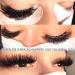 B&Q Self-Fanned Eyelashes - Easy Fan Volume Extensions | C CC D DD Curls | 8-15 mm Mix | Professional Quality - Buy Online on GoSupps.com
