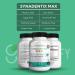 GREENVIFY SynaDentix Max Probiotic Supplement 40 Billion CFU MAKTREK Bi-Pass Technology 60 Capsules 30-Day Supply (1) - Buy Online on GoSupps.com
