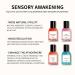 Natural Fresh Perfume for Womem Floral and Fruity Eau de Toilette Long Lasting Charming Fragrance Gift for Women 30ml/1.0 Fl Oz B - Buy Online on GoSupps.com