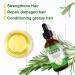 100% Pure Rosemary Oil for Hair Growth - Natural Essential Oil for Scalp Eyebrows & Eyelashes Nourishment - 60ml - Buy Online on GoSupps.com