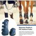 Free Gaiters & String Caps - 4-Set Gaaten Horse Impact Protection Boots for Jumping Riding & Dressage - Neoprene Tendon Guards in Size L Blue - Buy Online on GoSupps.com