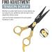 KINZIO Professional Hair Scissor - Stainless Steel Hair Cutting Shears for Salon Barbers - 6 inch - Buy Online on GoSupps.com