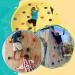 Trymaker Rock Climbing Holds Set - 15PCS Indoor & Outdoor Climbing Wall for Kids & Adults - Buy Online on GoSupps.com
