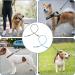 2 Pack Chew Proof Dog Leash Extension Metal Cable Lead Non-Tangle Connect Leash for Any Leash Heavy Duty Dog Leash Extender for Collar & Harness (Black+Blue) - Buy Online on GoSupps.com
