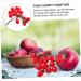 Warmhm 4pcs String Simulated Cherry Tomatoes Artificial Vegetables Artificial Vegetable Model Mini Model Fruit Faux Cherry Tomatoes Artificial Fruit Decor Child Fake Fruit Pvc Fake Food - Buy Online on GoSupps.com