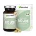 Organic Jod capsules |Natural iodine from algae of the northern Hebrids |Bio Kelp Vegan |In the glass |150 g organic iodine per capsule |Only 1 vegan capsule daily